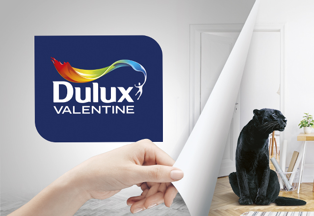 Illustaration Dulux Valentine